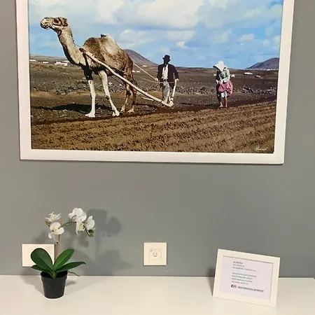 Relax Tinosa Appartement *