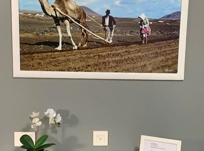 Relax Tinosa דירה *